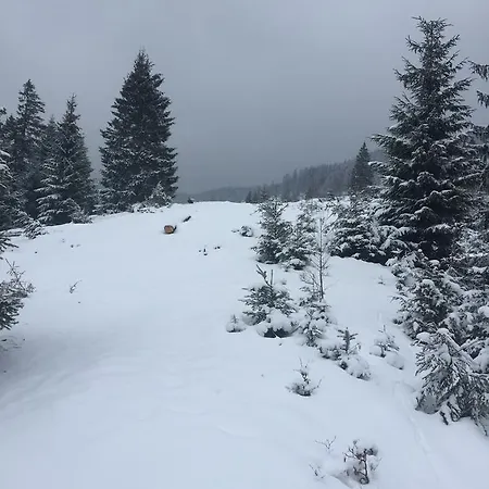 буковеньки гостинний дім та 3*