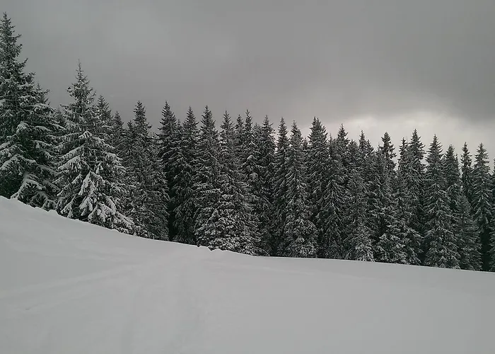 буковеньки гостинний дім та 布克维