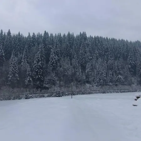 буковеньки гостинний дім та 3*