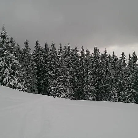 буковеньки гостинний дім та 布克维